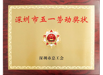 深圳市五一勞動(dòng)獎(jiǎng)?wù)?></div></div></div>
                                                <div   id=